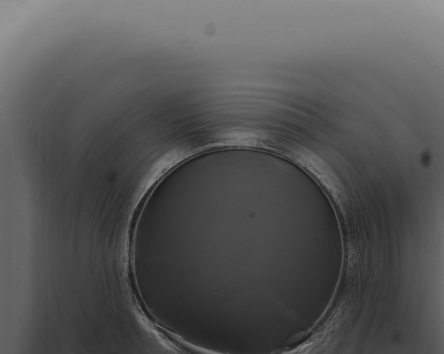 X0000097990994200804011804