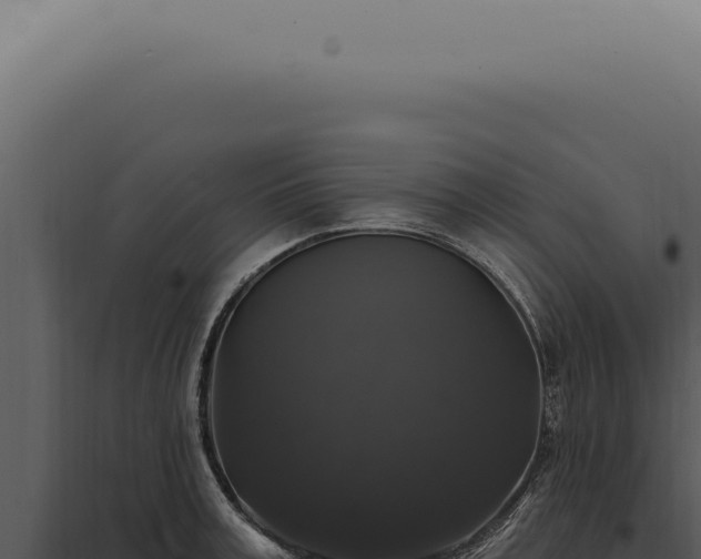 X0000097990995200804011804