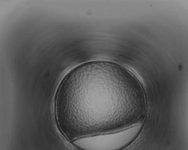 X0000097990996200804011804