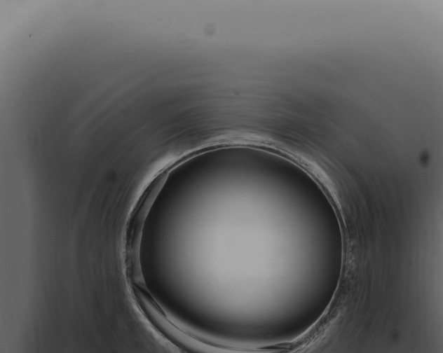 X0000097990997200804011804