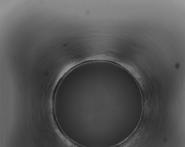 X0000097990998200804011804