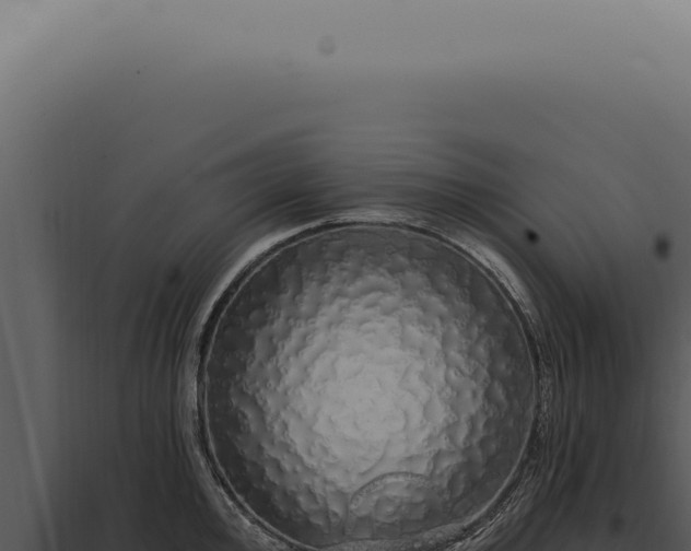 X0000097991000200804011804