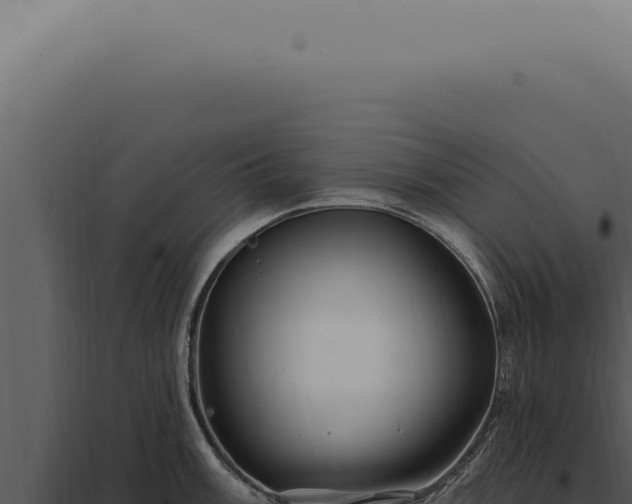 X0000097991003200804011804