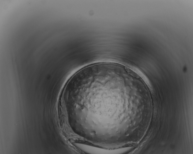 X0000097991004200804011804
