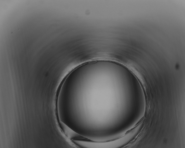 X0000097991005200804011804