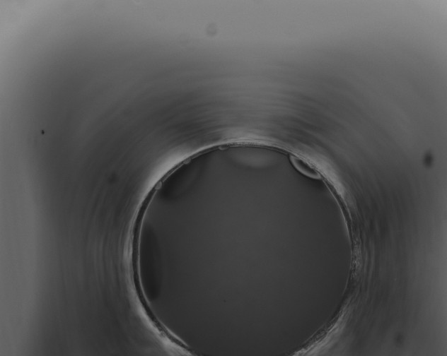 X0000097991007200804011804