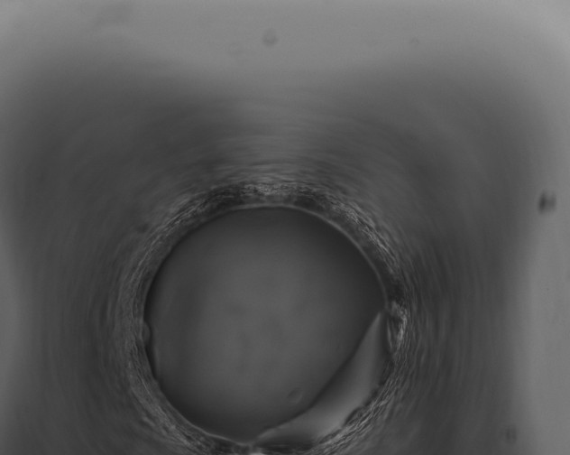X0000097991009200804011803