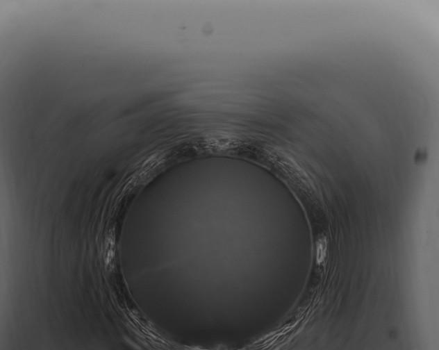 X0000097991011200804011803