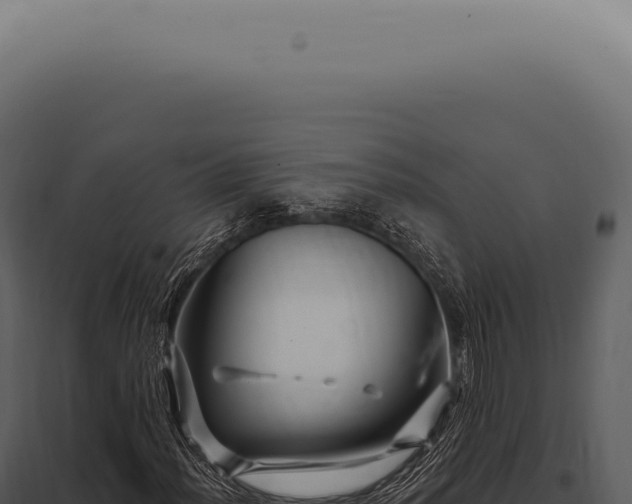 X0000097991012200804011803