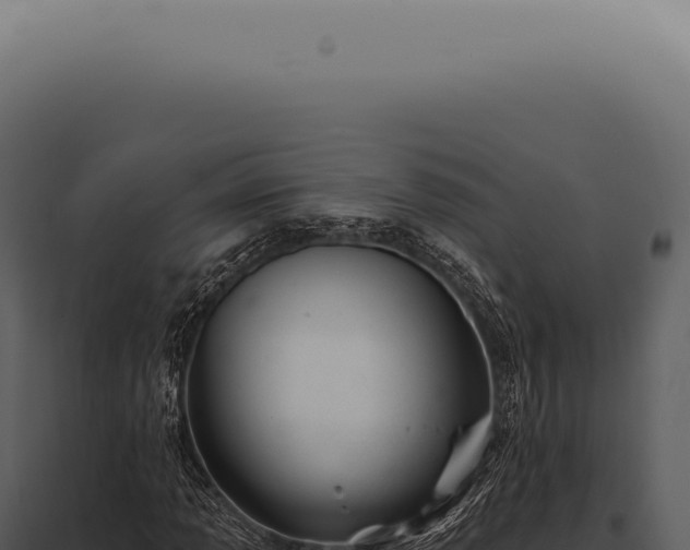 X0000097991013200804011803