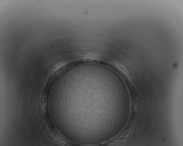 X0000097991015200804011803