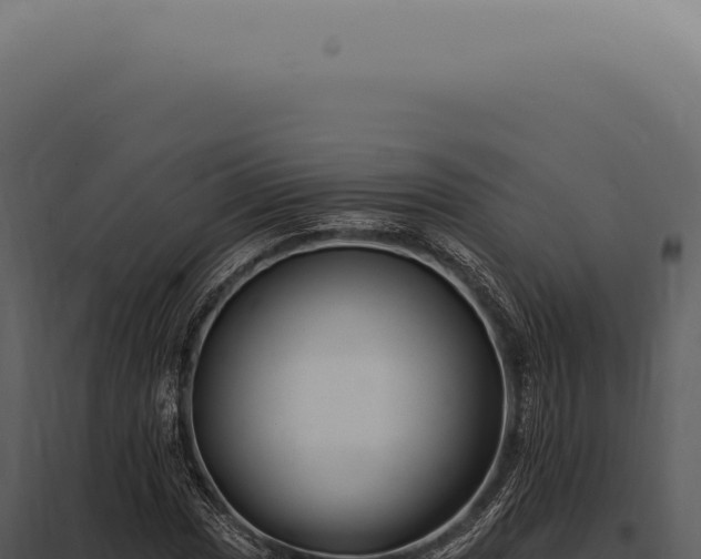 X0000097991017200804011803