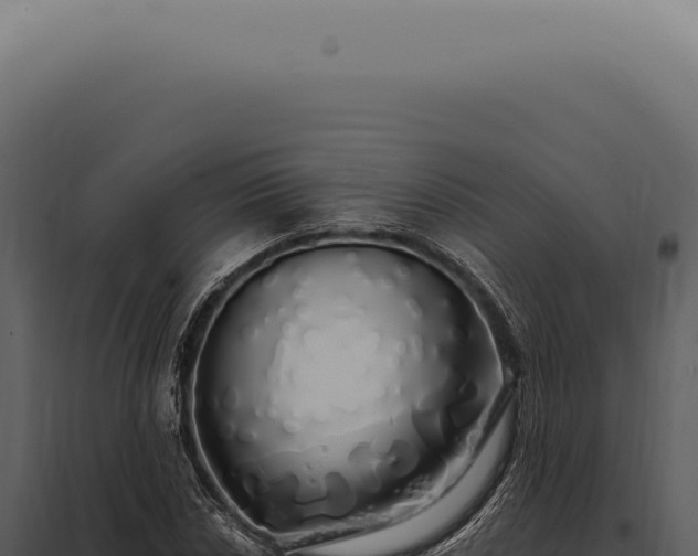 X0000097991018200804011803