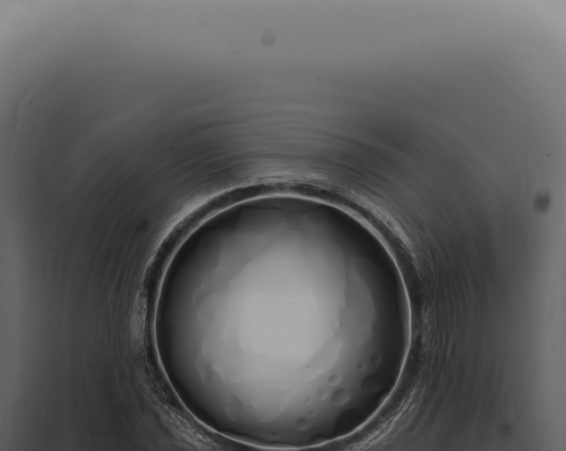 X0000097991021200804011803