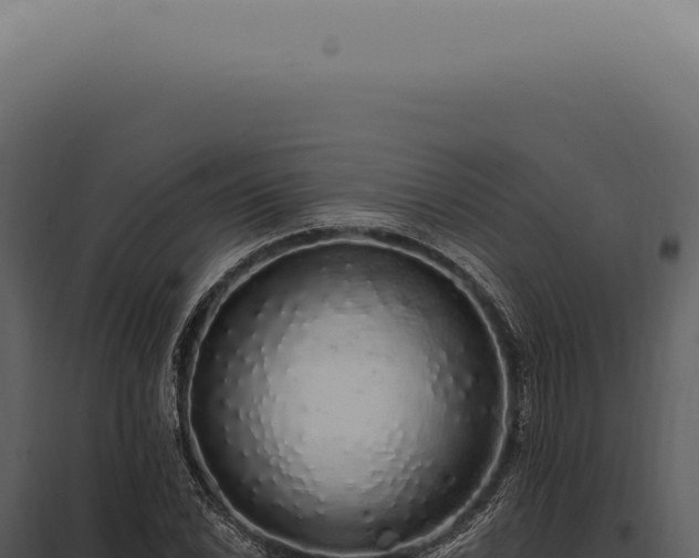 X0000097991022200804011803