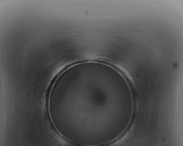 X0000097991023200804011803