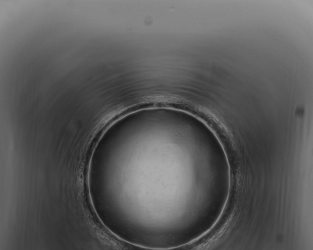 X0000097991025200804011803