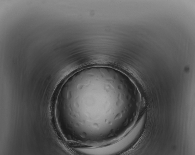 X0000097991026200804011803