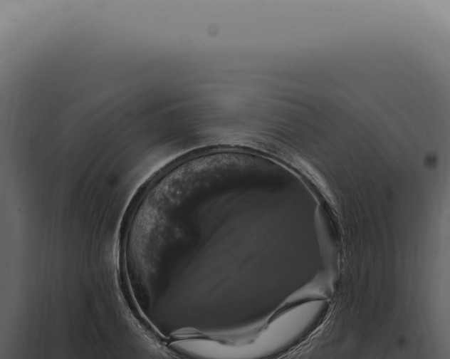 X0000097991028200804011803