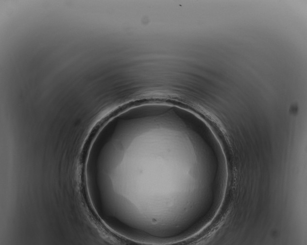 X0000097991029200804011803