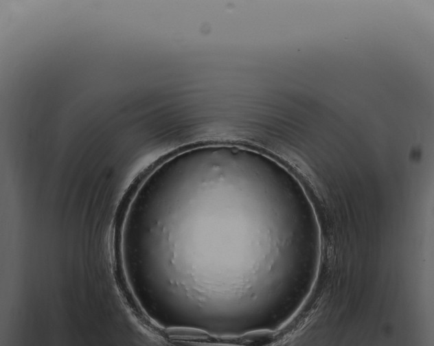 X0000097991030200804011804