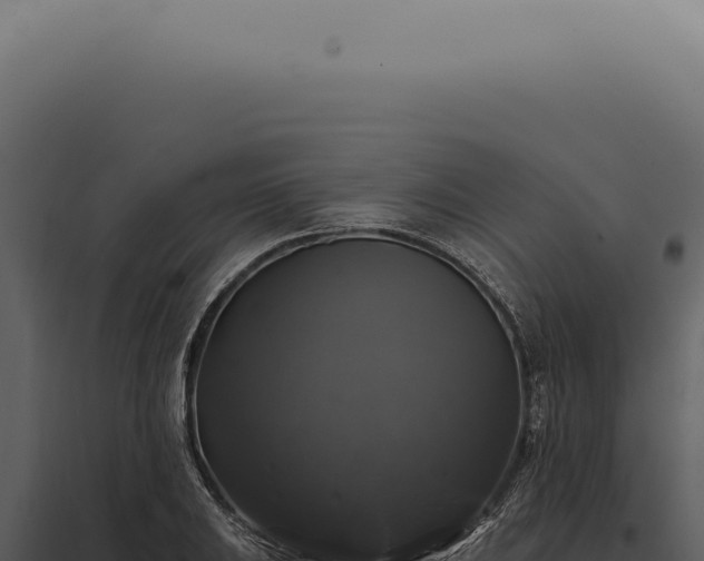 X0000097991031200804011804