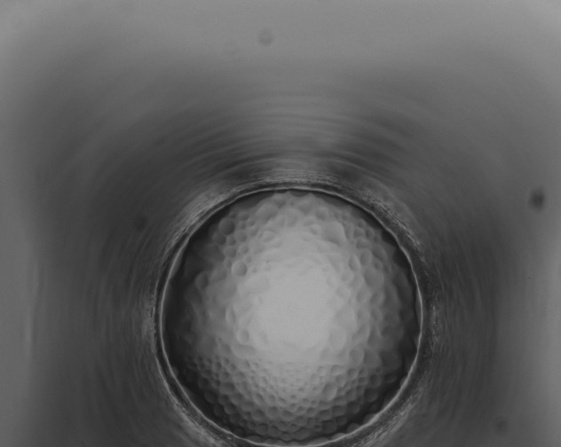 X0000097991033200804011804