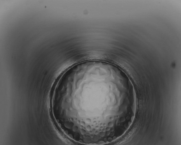 X0000097991034200804011804