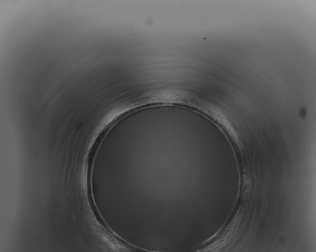 X0000097991035200804011804