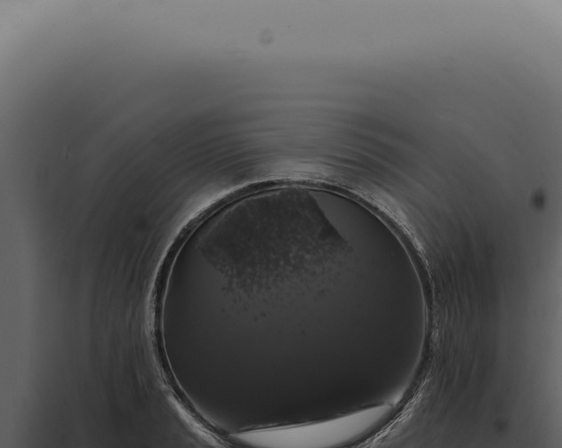 X0000097991037200804011804