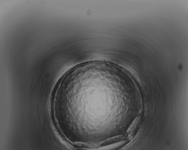 X0000097991038200804011804
