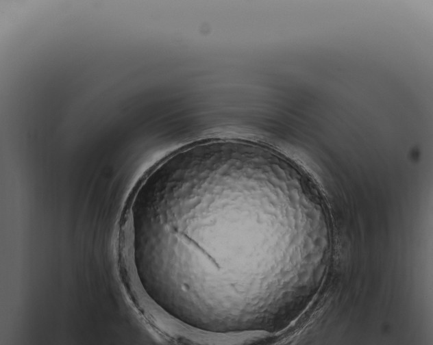 X0000097991040200804011804