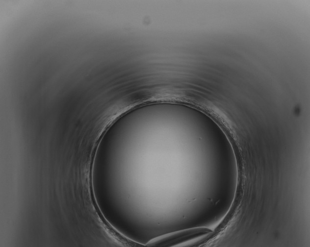 X0000097991041200804011804