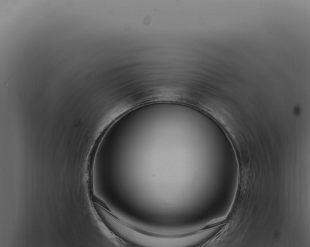 X0000097991042200804011804