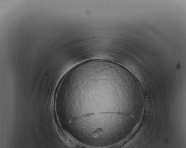 X0000097991044200804011804