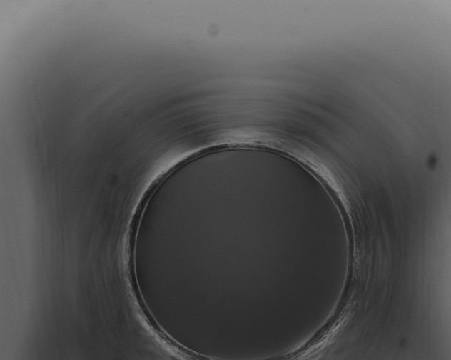 X0000097991045200804011804
