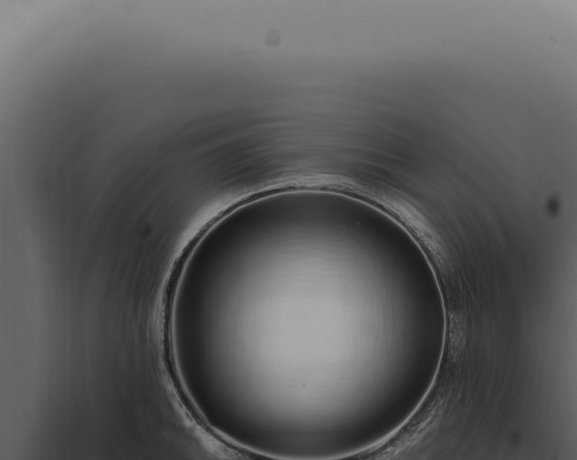 X0000097991046200804011804