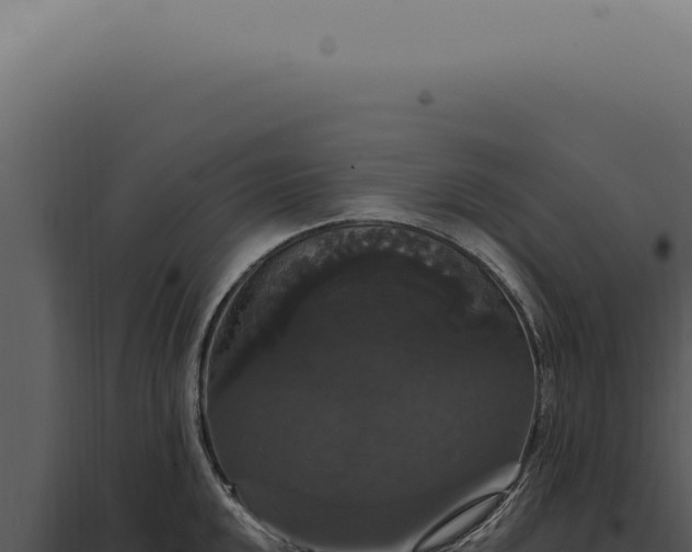 X0000097991048200804011804