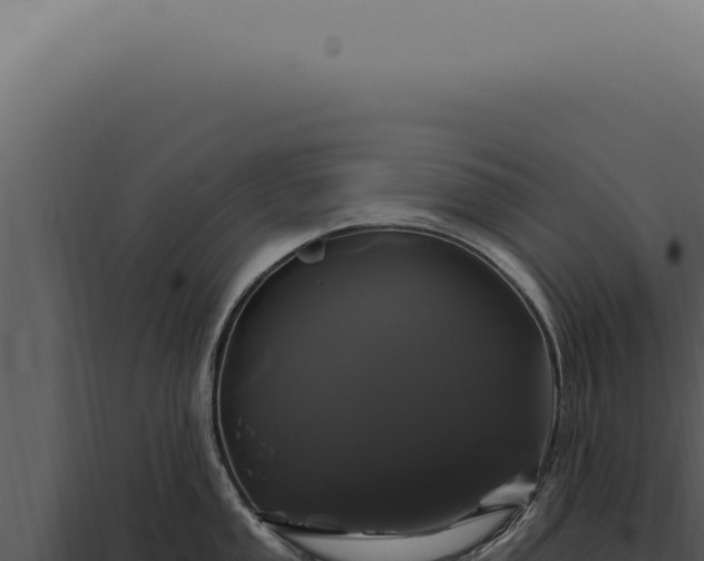 X0000097991053200804011804