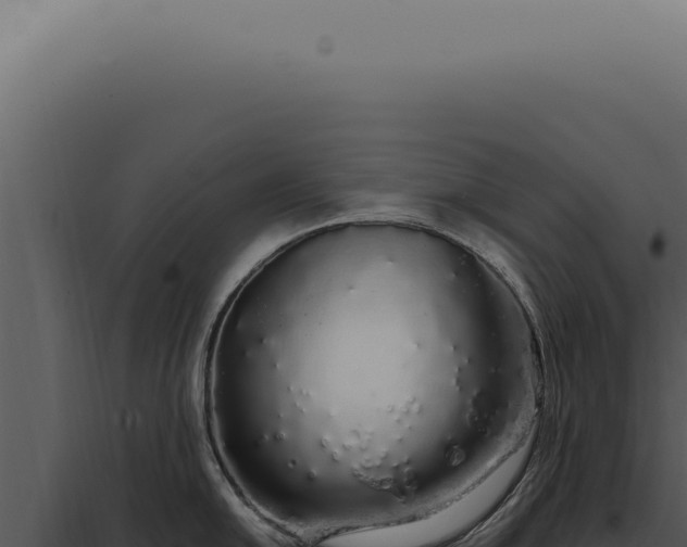 X0000097991054200804011804