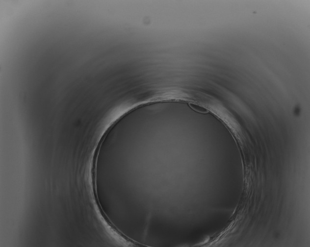 X0000097991055200804011804