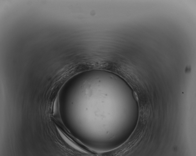 X0000097991058200804011803