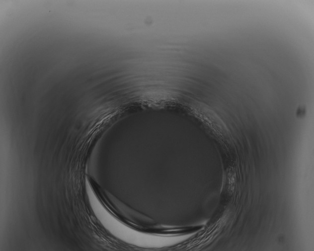 X0000097991060200804011803