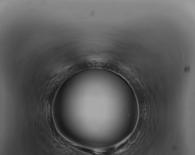 X0000097991061200804011803