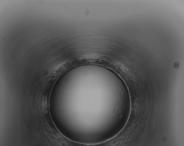 X0000097991062200804011803