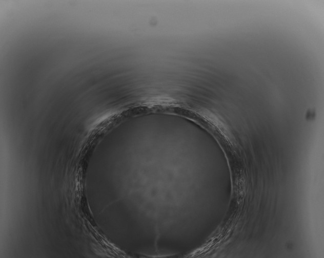 X0000097991063200804011803