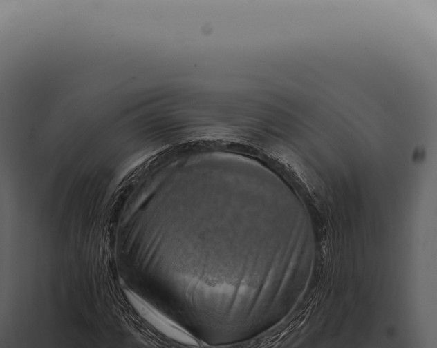 X0000097991064200804011803