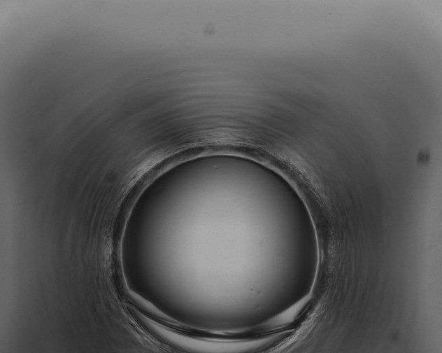 X0000097991065200804011803