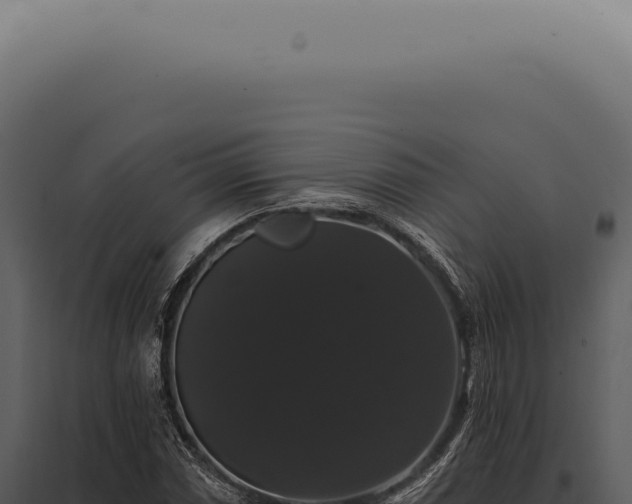 X0000097991066200804011803
