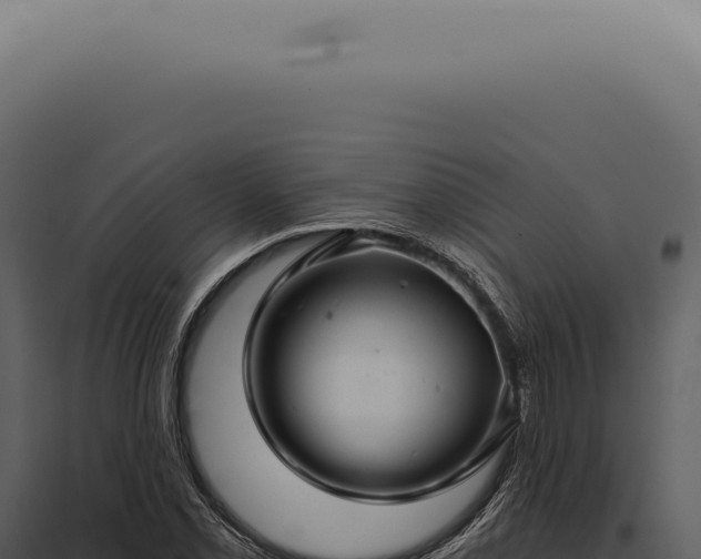 X0000097991069200804011803